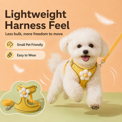 Breathable 3D Mesh Adjustable Harness & Leash Set (Small Pets)