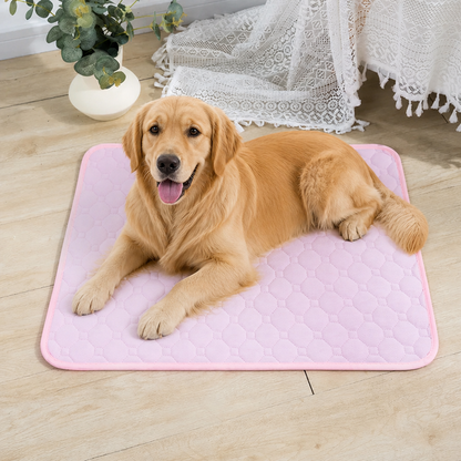 Ortekor 4-Layer Ultra Absorbent Waterproof Non-Slip Pet Mat