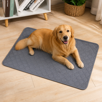 Ortekor 4-Layer Ultra Absorbent Waterproof Non-Slip Pet Mat