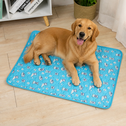 Ortekor 4-Layer Ultra Absorbent Waterproof Non-Slip Pet Mat