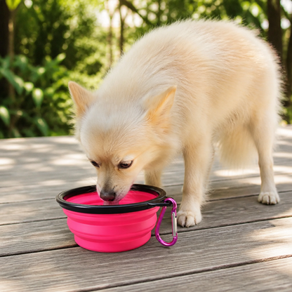 Ortekor Collapsible Food-Grade Silicone Travel Bowl