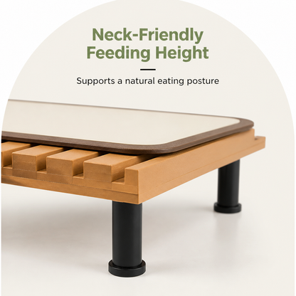 Ortekor Fixed-Height Ergonomic Plastic Feeding Stand