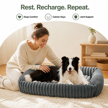 Ortekor Orthopedic High-Resilience Plush Dog Bed (Hand-Washable)