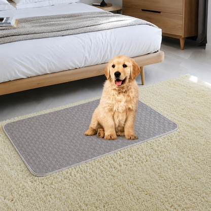 Ortekor Quick-Absorb & Leak-Proof Washable Pet Training Pad