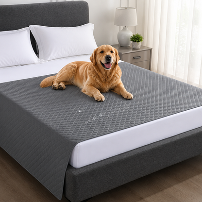 Ortekor Quilted Water-Resistant & Non-Slip Dog Bed Cover