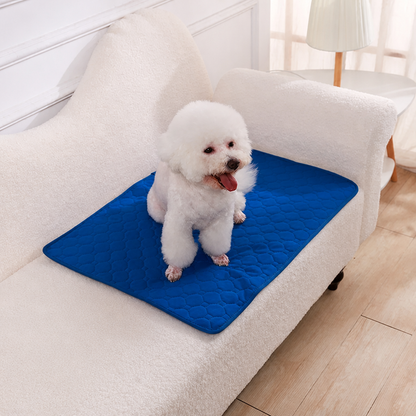 Ortekor Reusable Absorbent Waterproof Dog Pee Pad