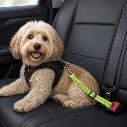 Ortekor Shock Absorbing Adjustable Seat Belt Tether
