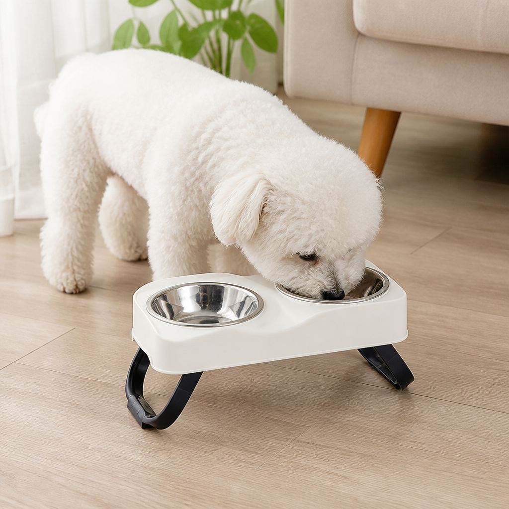 Bols en acier inoxydable Ortekor et gamelle double antidérapante pour animaux (support pliable)