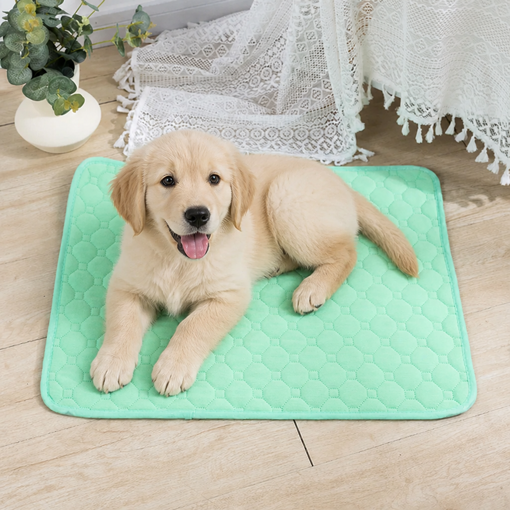 Ortekor Ultra Absorbent Quilted Pet Mat (Non-Slip Backing)