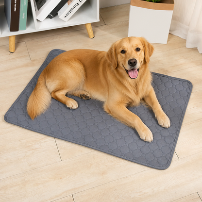 Ortekor Ultra Absorbent Quilted Pet Mat (Non-Slip Backing)