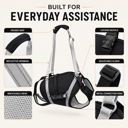 Full-Body Adjustable Padded Mesh Dog Lift Harness