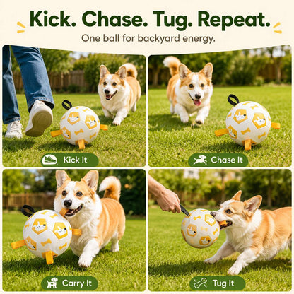 Grab-Tab Inflatable Dog Soccer Ball (Pump Included)