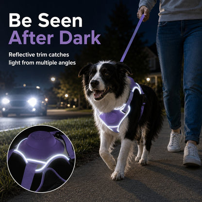 No-Pull Built-In Retractable Leash Dog Harness