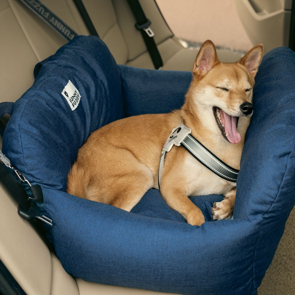 Portable Pet Carrier Booster Seat with Safety Harness and Washable Cover for Small Dogs