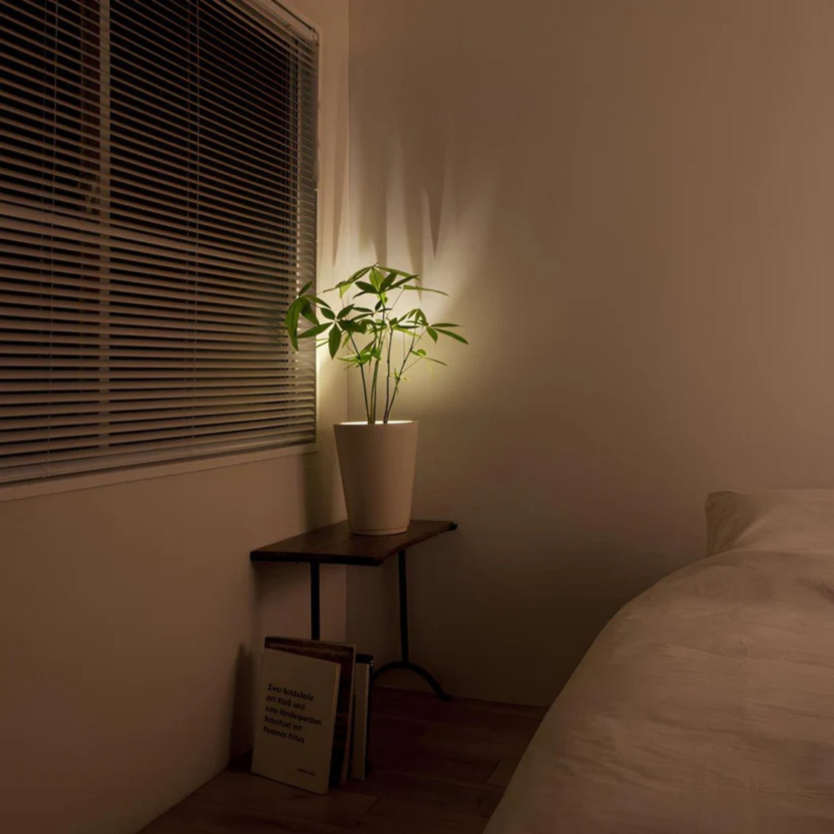 Dynamic Accent Light | Adjustable Spotlight with Remote Control | Perfect Illumination for Home Décor