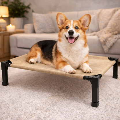 Elevated Dog Bed with Breathable Mesh Fabric & Chew-Proof Design for Ultimate Comfort