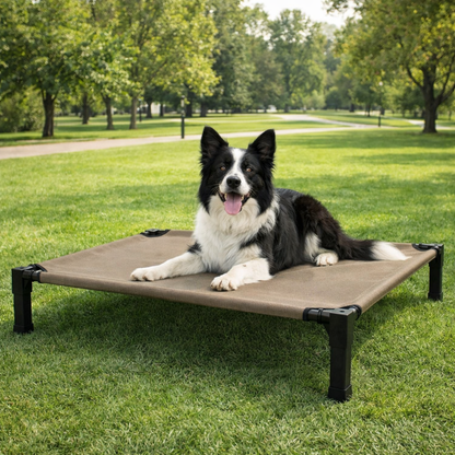 Elevated Dog Bed with Breathable Mesh Fabric & Chew-Proof Design for Ultimate Comfort
