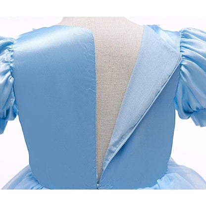 Robe de princesse en dentelle pour fille avec manches bouffantes, robe de princesse pour anniversaire ou costume d'Halloween pour filles de 3 à 10 ans