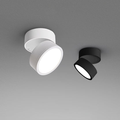 Adjustable Spotlight Ceiling Fixture 4 Inch Rotating LED Light for Artwork Living Room Gallery Black White Aluminum