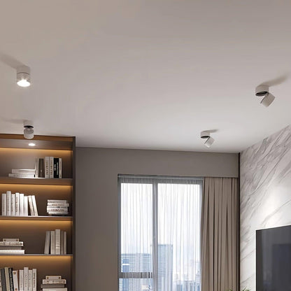 Adjustable Spotlight Ceiling Fixture 4 Inch Rotating LED Light for Artwork Living Room Gallery Black White Aluminum