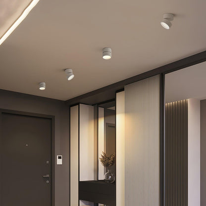 Adjustable LED Ceiling Spotlight in Minimalist Scandinavian Style – Directional Accent Light for Living Room, Gallery, Hallway & Modern