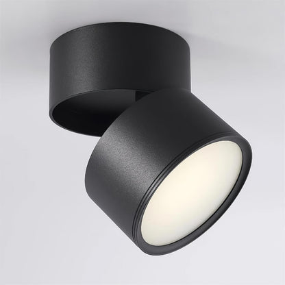 Adjustable Spotlight Ceiling Fixture 4 Inch Rotating LED Light for Artwork Living Room Gallery Black White Aluminum
