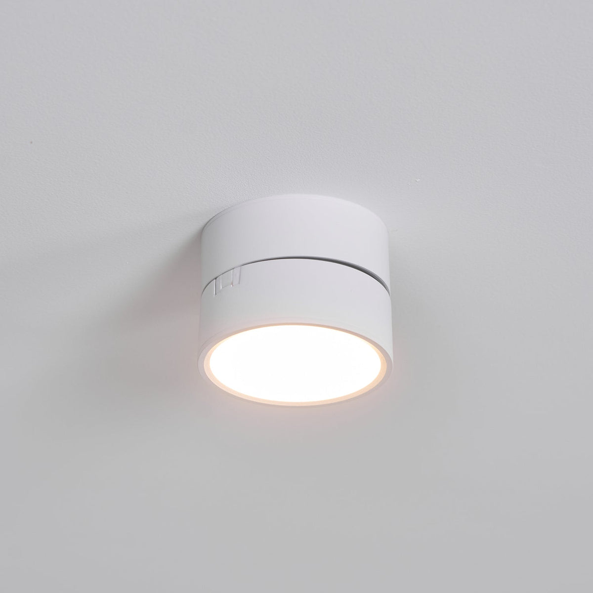 Adjustable Spotlight Ceiling Fixture 4 Inch Rotating LED Light for Artwork Living Room Gallery Black White Aluminum