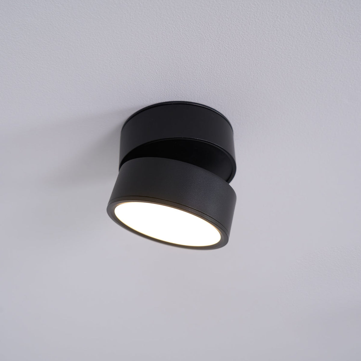 Adjustable Spotlight Ceiling Fixture 4 Inch Rotating LED Light for Artwork Living Room Gallery Black White Aluminum