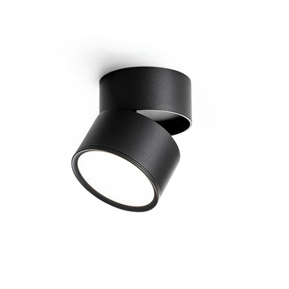 Adjustable Spotlight Ceiling Fixture 4 Inch Rotating LED Light for Artwork Living Room Gallery Black White Aluminum