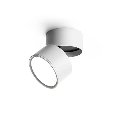 Adjustable Spotlight Ceiling Fixture 4 Inch Rotating LED Light for Artwork Living Room Gallery Black White Aluminum