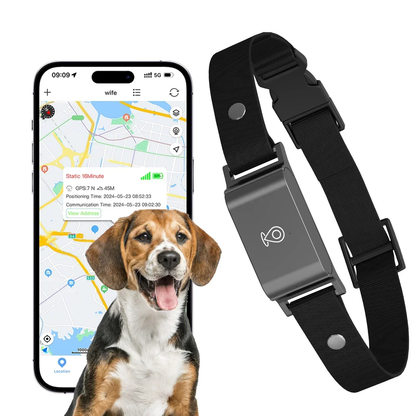 Collier traceur GPS étanche pour animaux de compagnie chiens chats