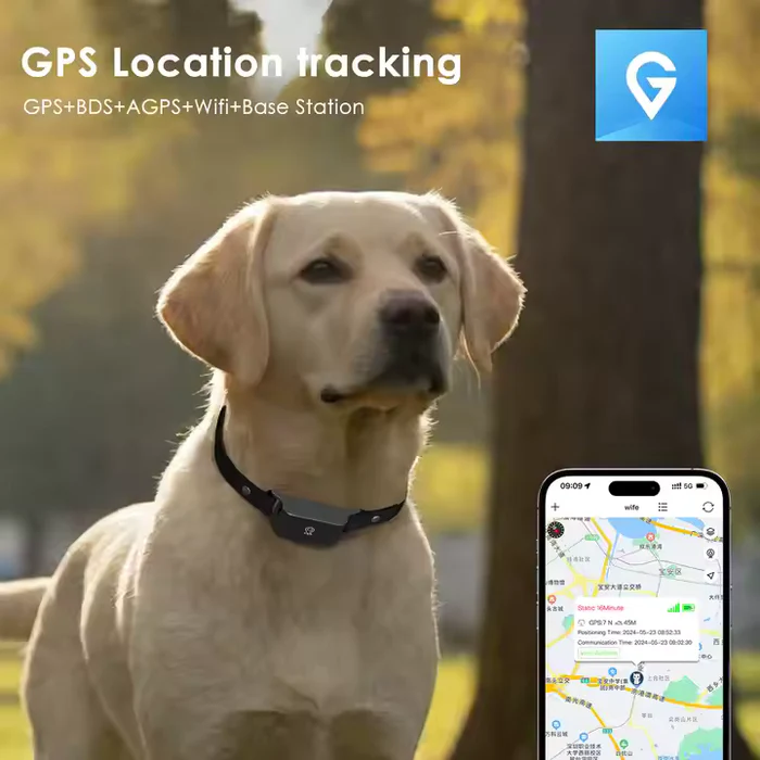 Collier traceur GPS étanche pour animaux de compagnie chiens chats