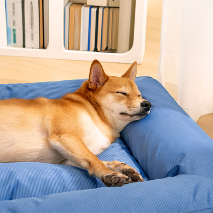 Raised-Edge Bolster Dog Bed with Joint-Relief Foam & Liquid-Proof Cover for Large Breeds