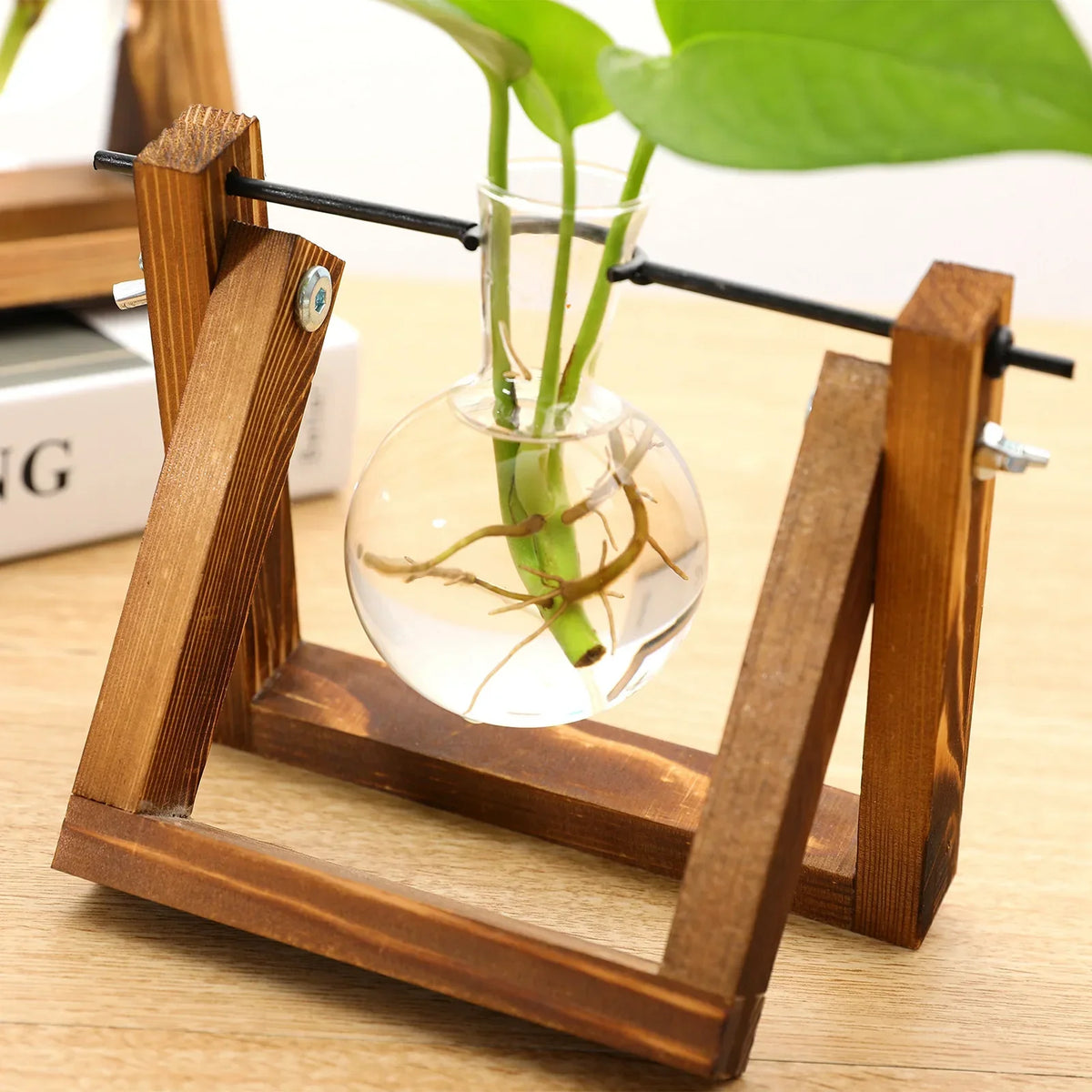 Wooden Desktop Glass Tube Rooting Station for Cuttings & Houseplants — Single, Double & Triple Holder Designs