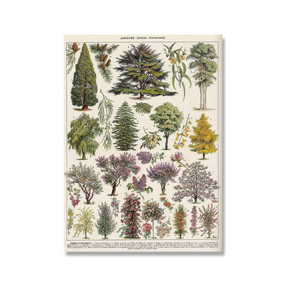 Framed Nature Illustration Canvas Prints – Classic Plant & Flower Wall Art for Living Room, Bedroom, Home Office Décor