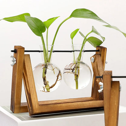 Wooden Desktop Glass Tube Rooting Station for Cuttings & Houseplants — Single, Double & Triple Holder Designs