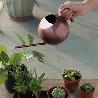 Metal Indoor Plant Watering Pitcher 11 in Diameter Long Spout Rust-Resistant Houseplant Tool Home Garden Container for Succulents Flowers