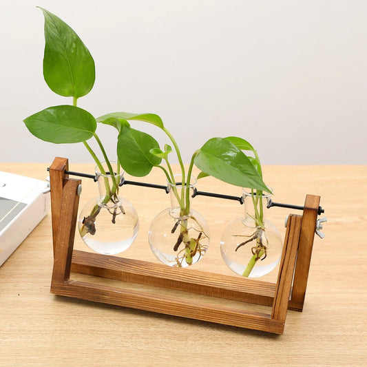 Support de vase hydroponique en bois avec tubes en verre pour la propagation de boutures, station décorative de table pour herbes, fleurs, plantes succulentes et développement des racines