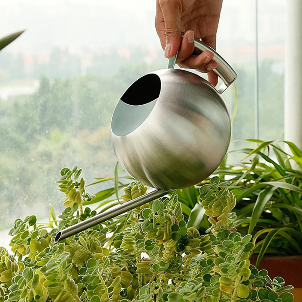 Metal Indoor Plant Watering Pitcher 11 in Diameter Long Spout Rust-Resistant Houseplant Tool Home Garden Container for Succulents Flowers