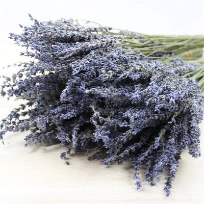Dried Lavender Bundles for Home Decor & Aromatherapy | Fragrant Floral Stems for Sachets, Potpourri, Wedding Arrangements | Rustic Farmhouse