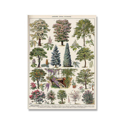 Framed Nature Illustration Canvas Prints – Classic Plant & Flower Wall Art for Living Room, Bedroom, Home Office Décor
