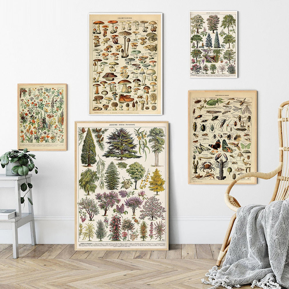 Framed Nature Illustration Canvas Prints – Classic Plant & Flower Wall Art for Living Room, Bedroom, Home Office Décor