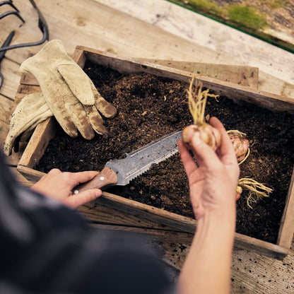 Japanese-Style Garden Digging Knife with Serrated Edge & Walnut Handle for Weeding, Planting & Transplanting