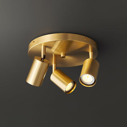 Rotatable Track Light for Kitchen Ceilings Multi-Head Metal Spotlight Fixture for Closets Directional Task Lighting Brass or Black