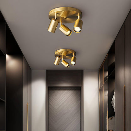 Rotatable Track Light for Kitchen Ceilings Multi-Head Metal Spotlight Fixture for Closets Directional Task Lighting Brass or Black
