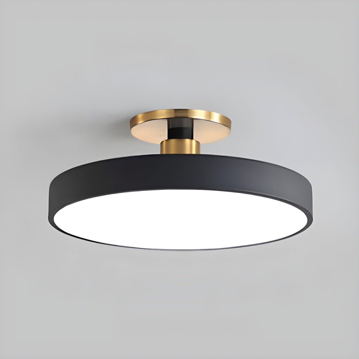 LED Ceiling Light Fixture 12 in Dimmable Round Low Profile for Bedroom Kitchen Office Home Modern Acrylic