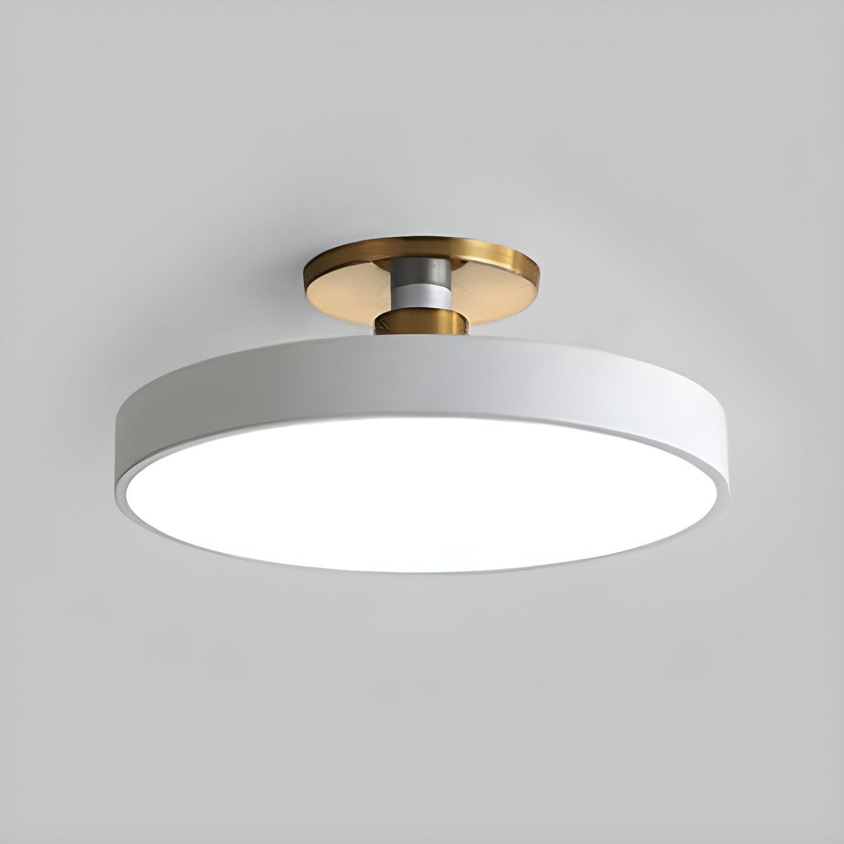 LED Ceiling Light Fixture 12 in Dimmable Round Low Profile for Bedroom Kitchen Office Home Modern Acrylic
