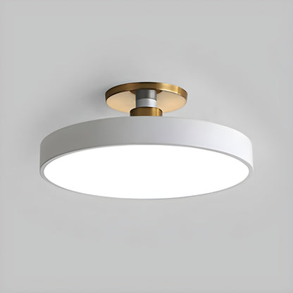 LED Ceiling Light Fixture 12 in Dimmable Round Low Profile for Bedroom Kitchen Office Home Modern Acrylic