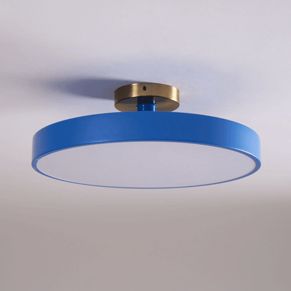 LED Ceiling Light Fixture 12 in Dimmable Round Low Profile for Bedroom Kitchen Office Home Modern Acrylic