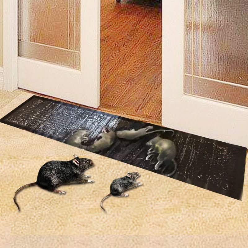 Grands pièges adhésifs pour rongeurs et insectes, plaques de glu non toxiques pour la lutte antiparasitaire, pour souris, rats et insectes, usage intérieur et extérieur, cuisine, garage, abri, rangement
